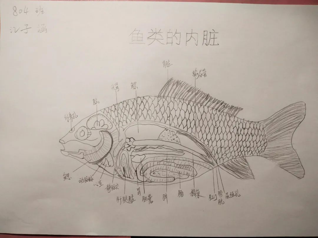 微信图片_20220217095615.jpg