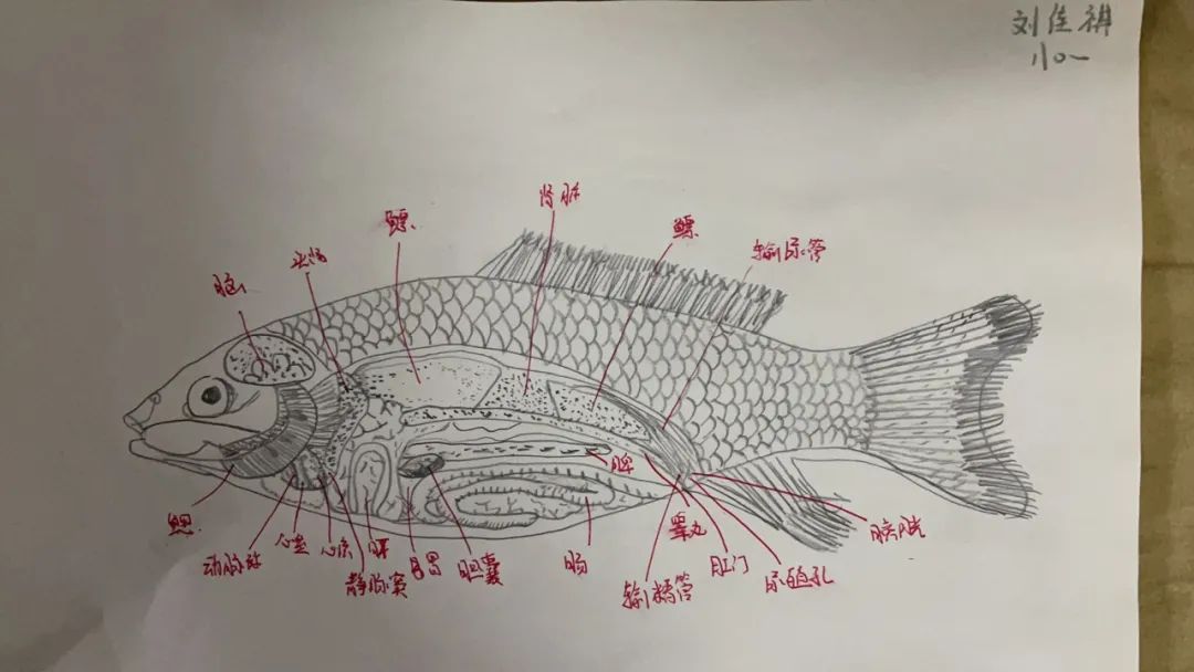 微信图片_20220217095611.jpg