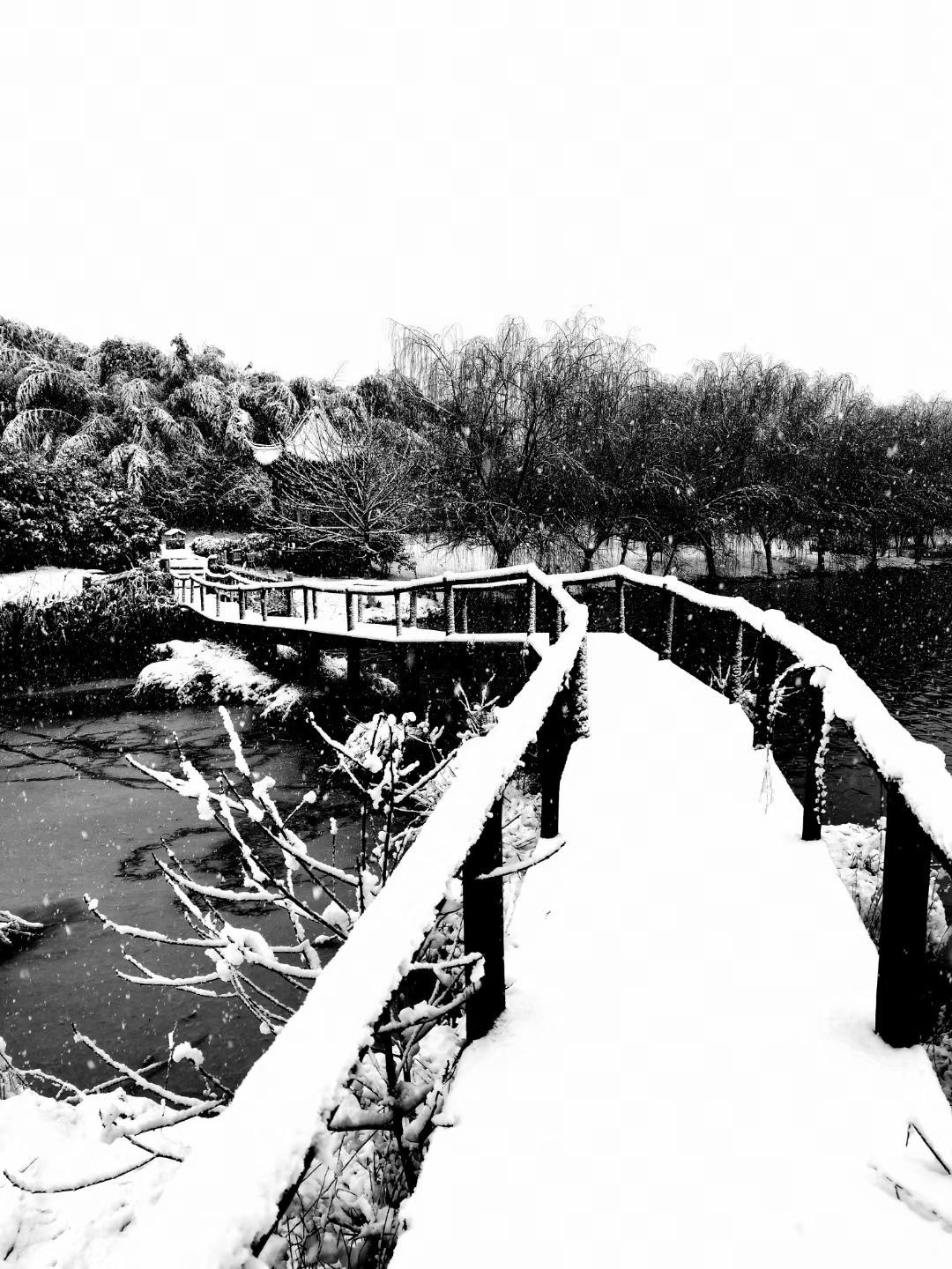 20220219120253front2_0_365879_Fjg7vwB2uEQZY94BlwDI9VHi1oF7.jpg