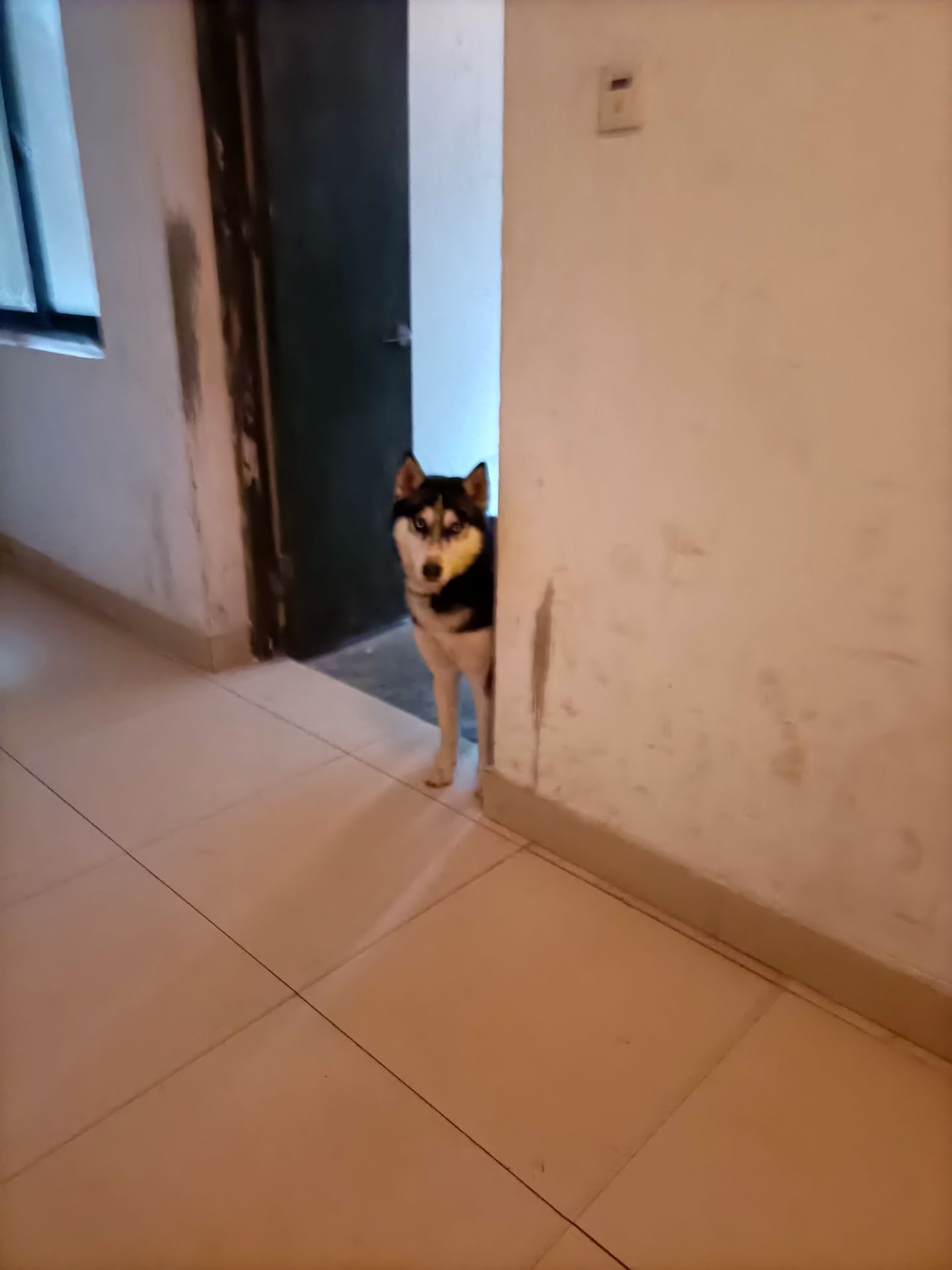 20220219172408front2_0_362900_FtfpFsiW8961R00accMhBdsHyZEm.jpg