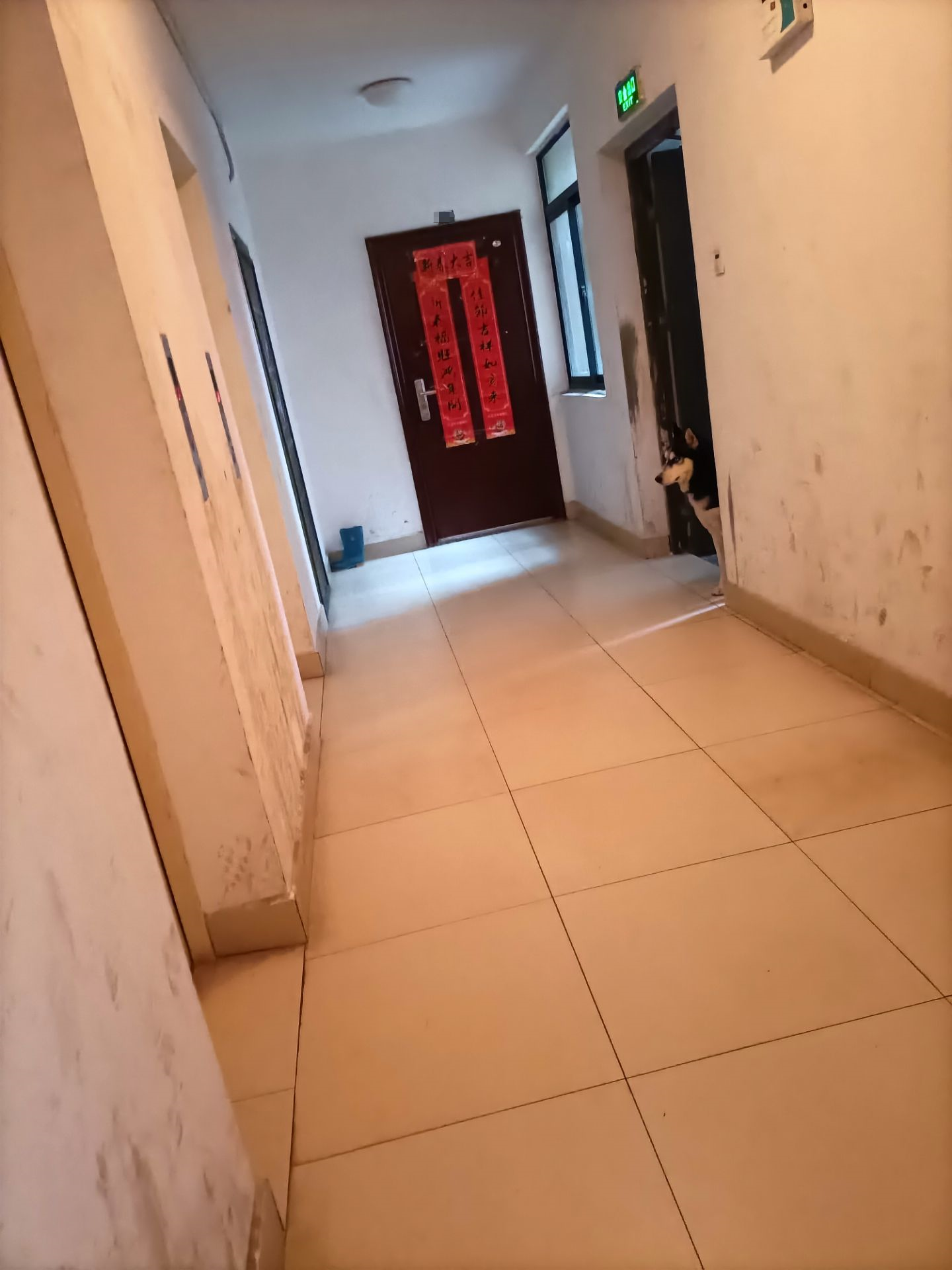 微信图片_20220219181509.png