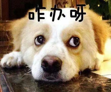 微信图片_20220221150231.jpg