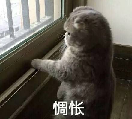 src=http___wx4.sinaimg.cn_bmiddle_ceeb653ely1fsbdiun40vj20g40eldh1.jpg&amp;refer=htt.jpg