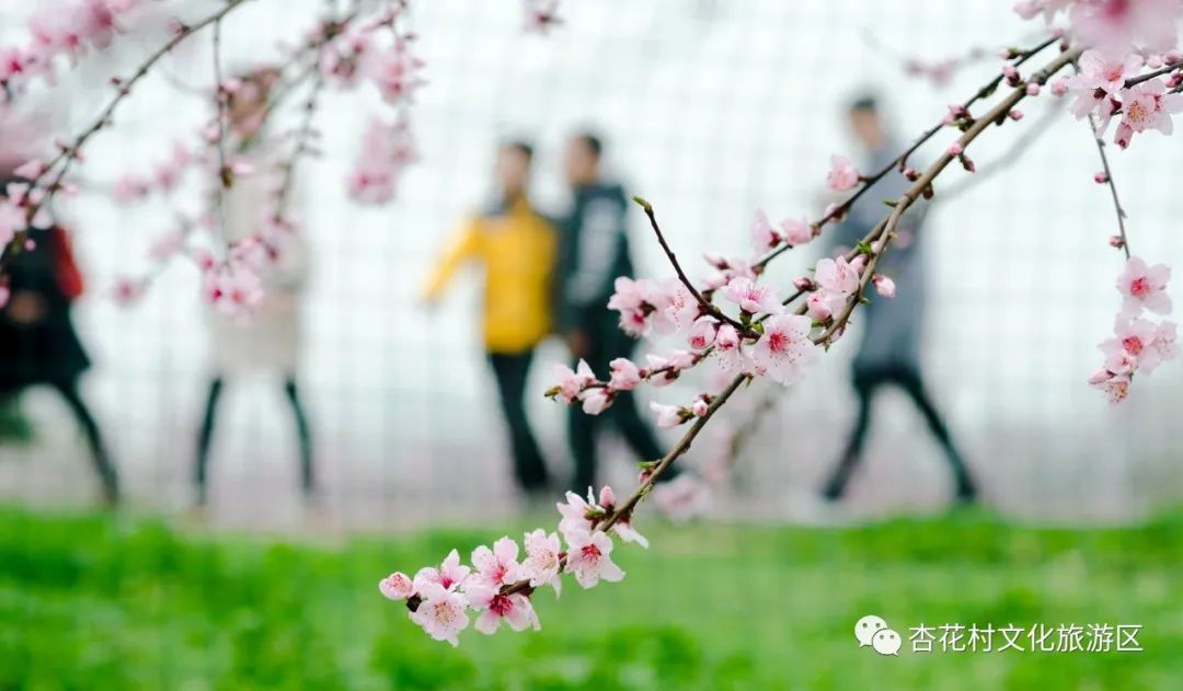 微信图片_20220224174827.jpg
