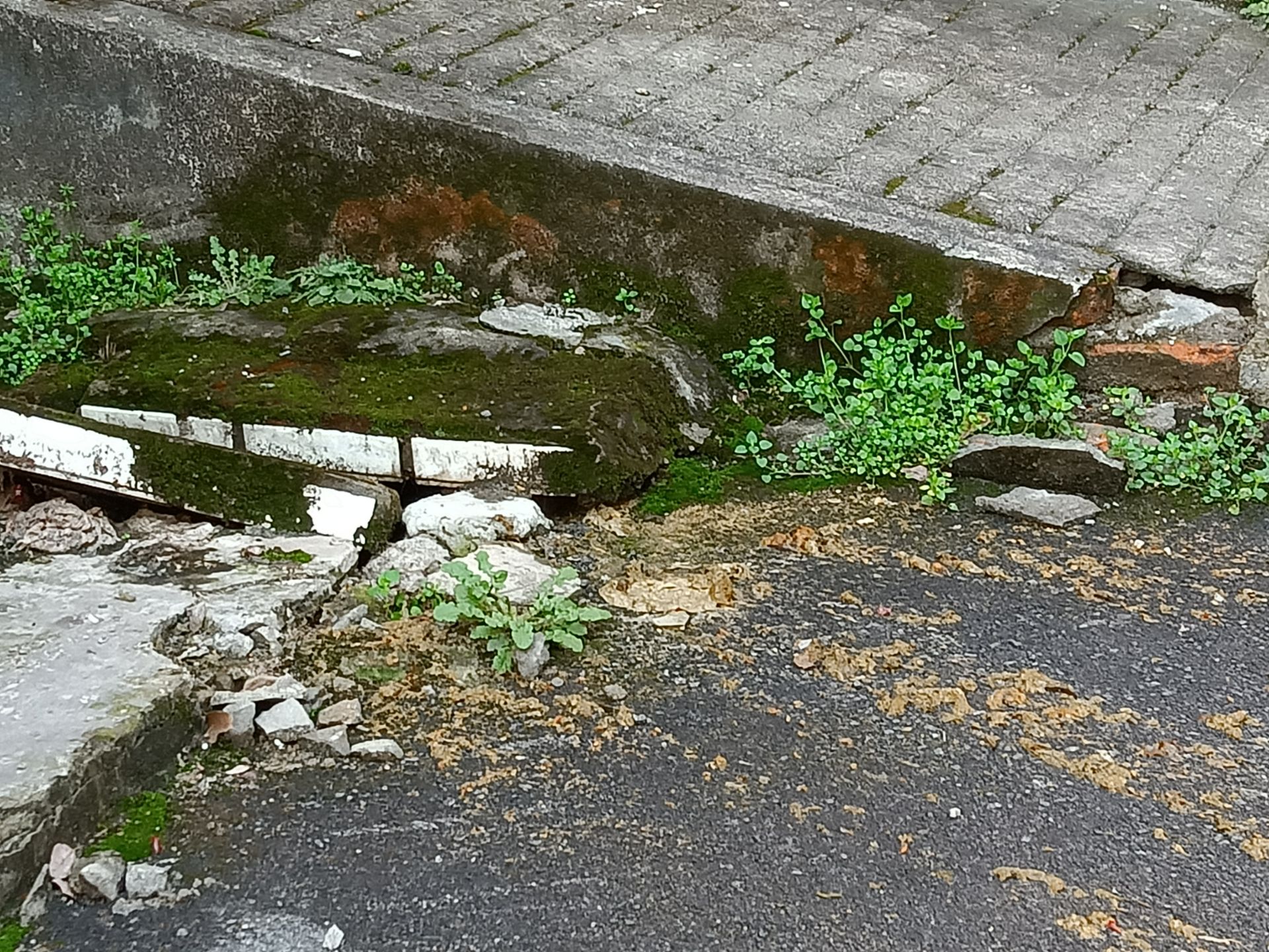 20220305075847front2_0_130474_FtKzgeht_1KM8MxqFDb3W9QsnaKA.jpg