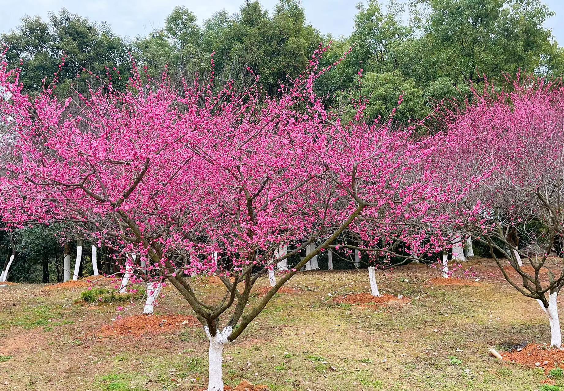 微信图片_20220306120910.jpg