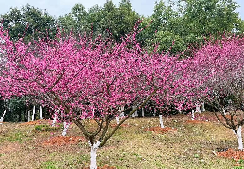 微信图片_20220309082030.jpg
