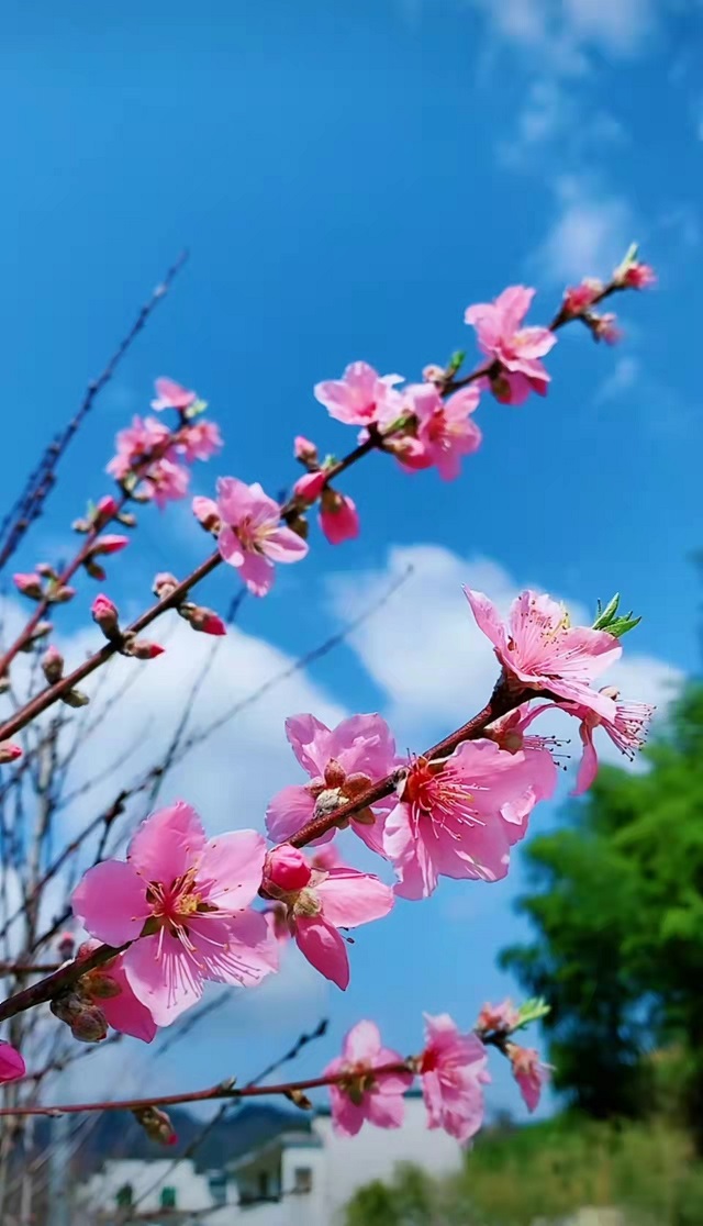 微信图片_20220309082042.jpg