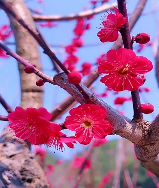 清溪的3.jpg