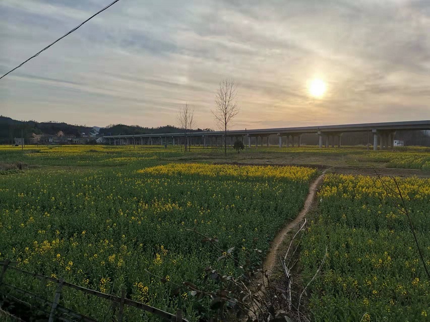 微信图片_20220311081816.jpg
