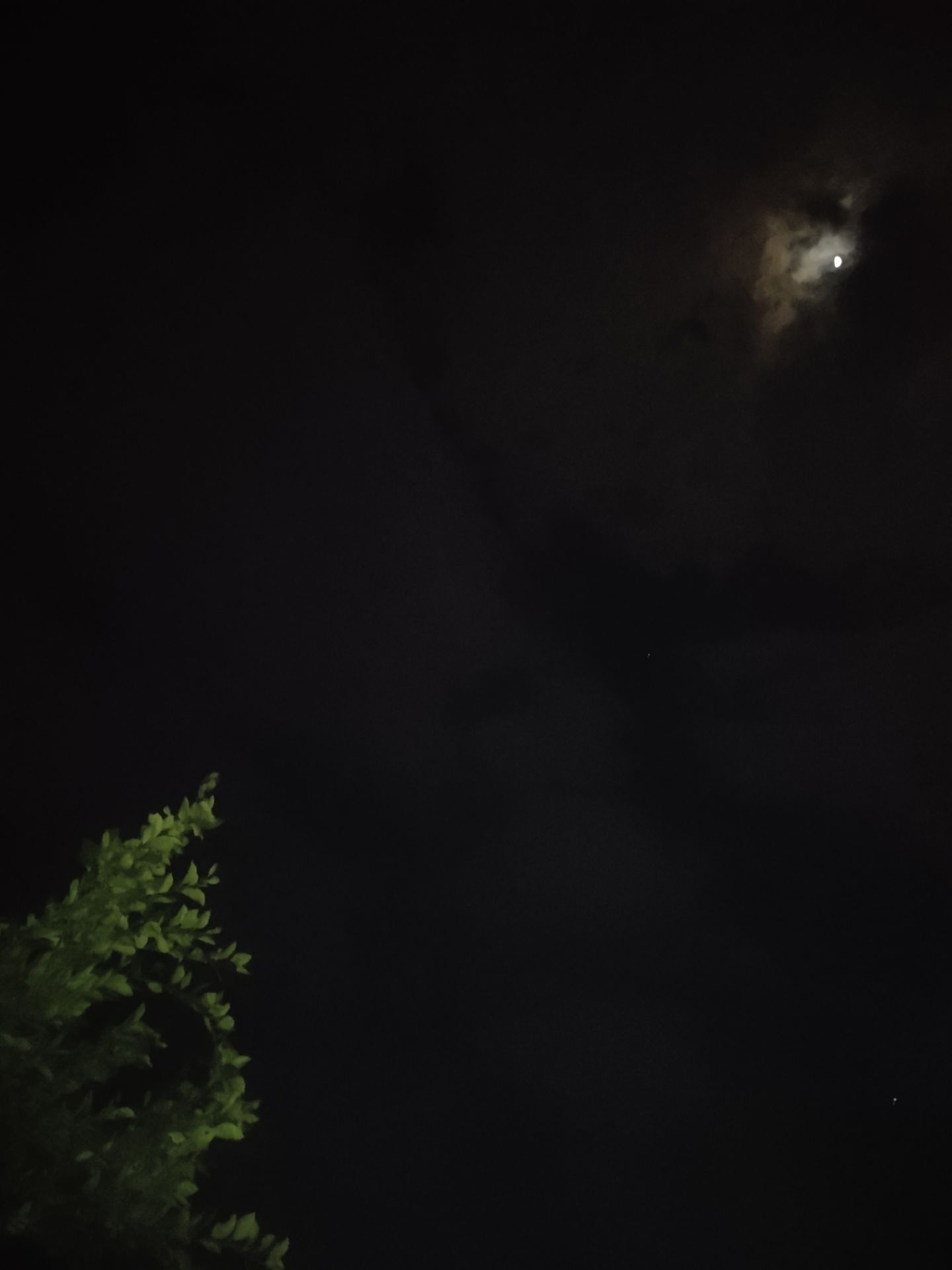 20220312215542front2_0_277847_FgKdD_BNhSirhJLEd-VZp4-LXLYR.jpg