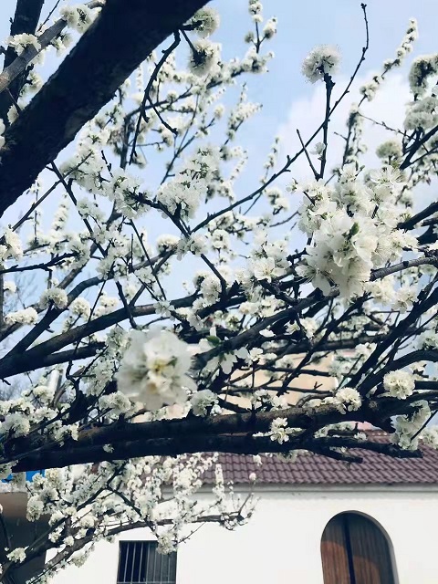 微信图片_20220314093128.jpg