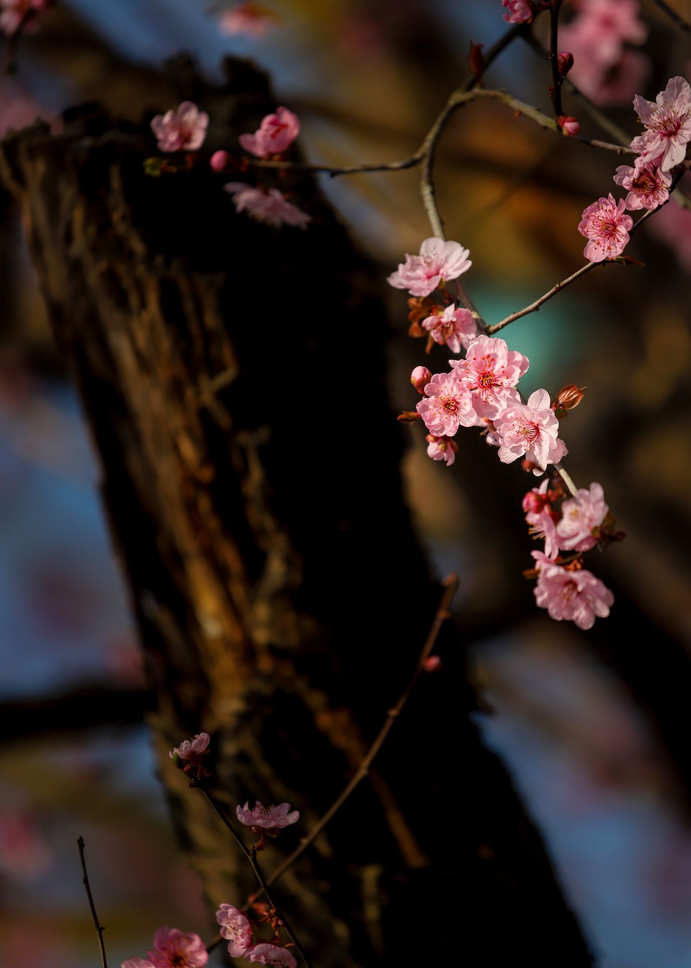 20220316105833front2_0_97145_FumoI63aDVqzN50VCtrDxodqLHt3.jpg