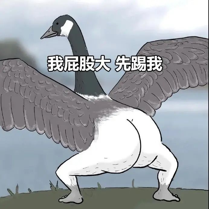 20220319211305front2_0_367004_Fiv3pQ-xJGxA3e9N9pgeHEGKWPMW.jpg