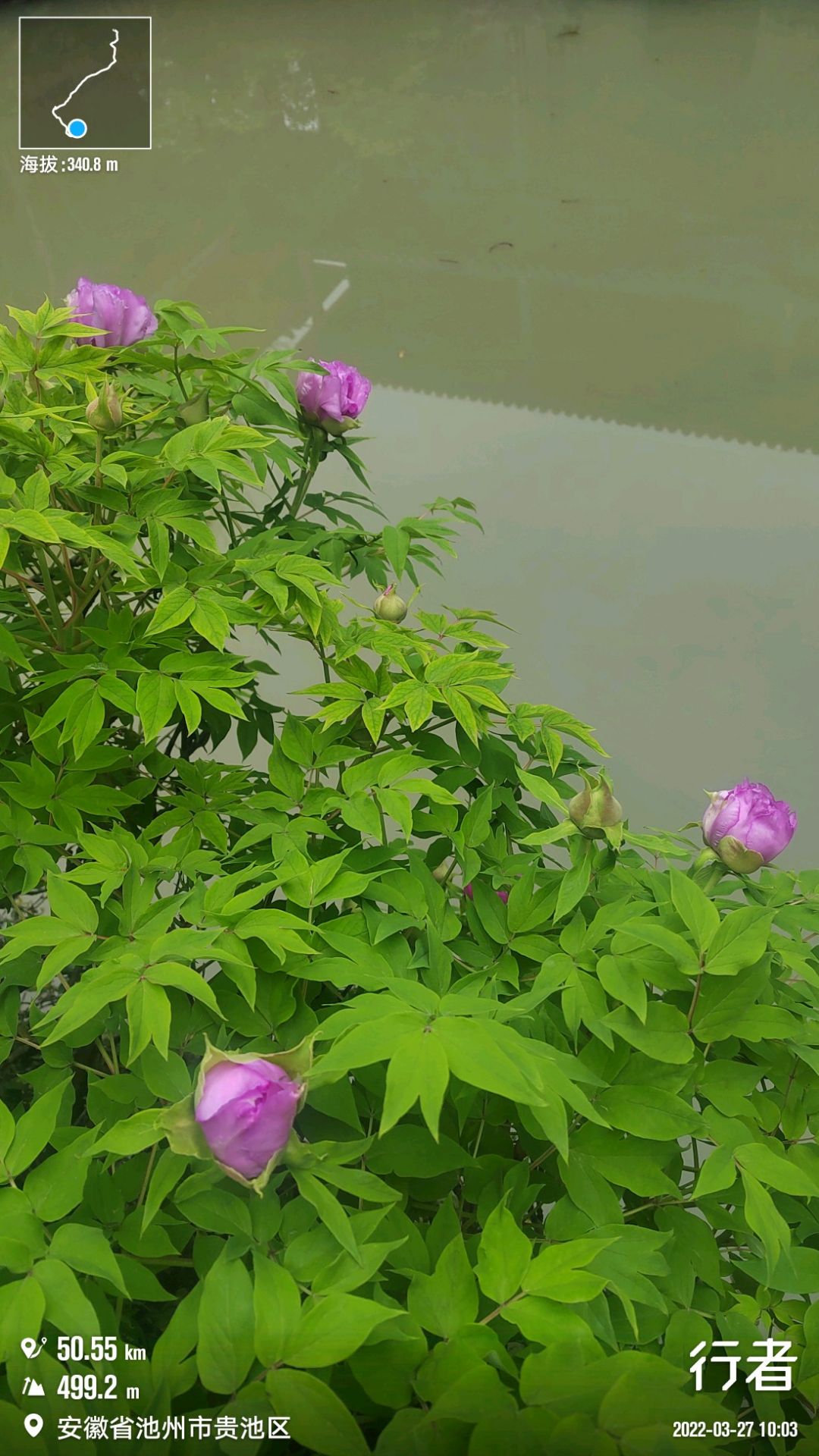 20220328160341front2_0_296450_FmQvU8_0pLHxZJwxdqzbS--uzHX4.jpg