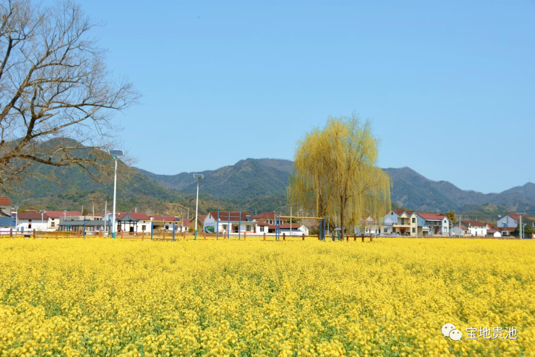 微信图片_20220329091355.png