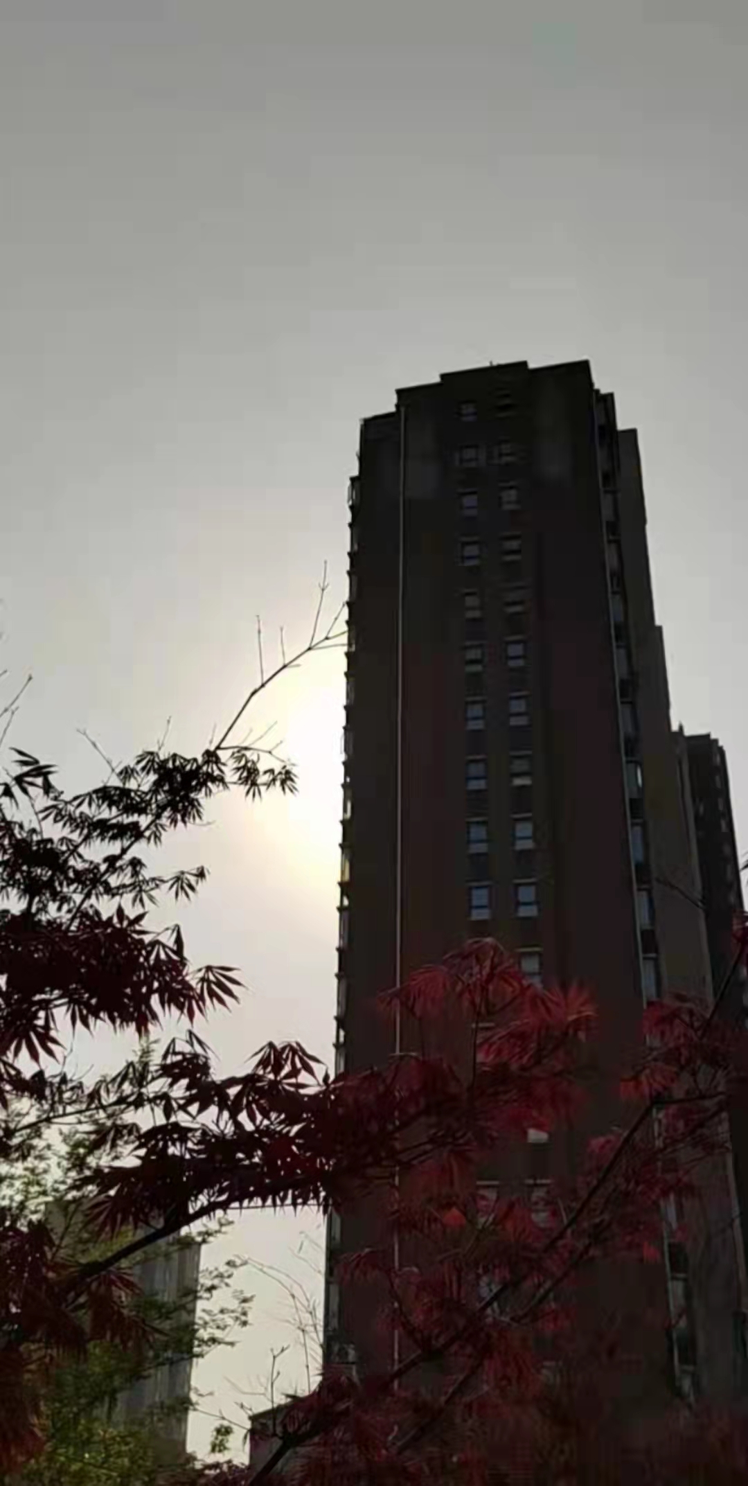 2022年3月拍摄于马鞍山慈湖河