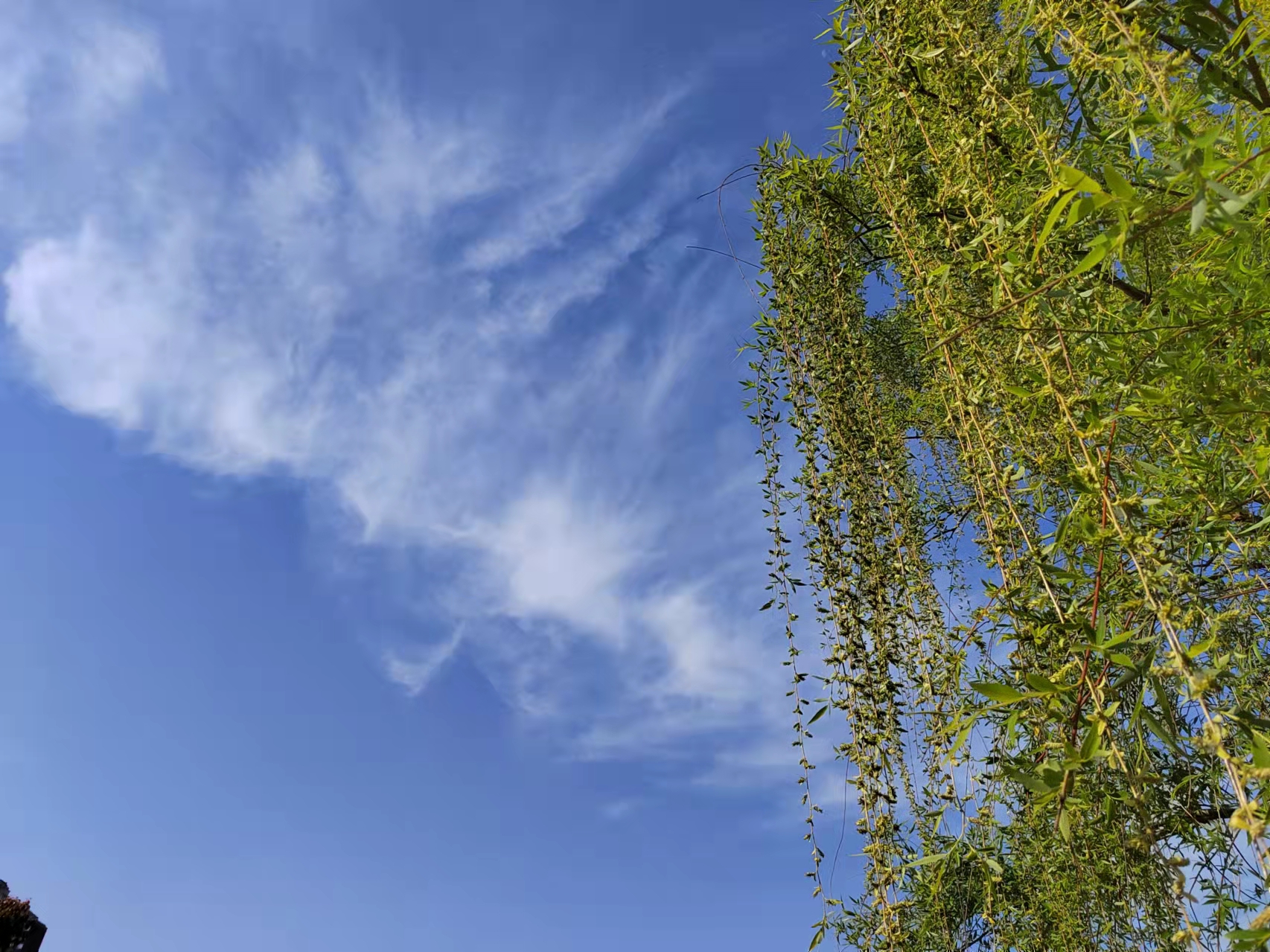 2022年清明节拍摄于马鞍山慈湖河