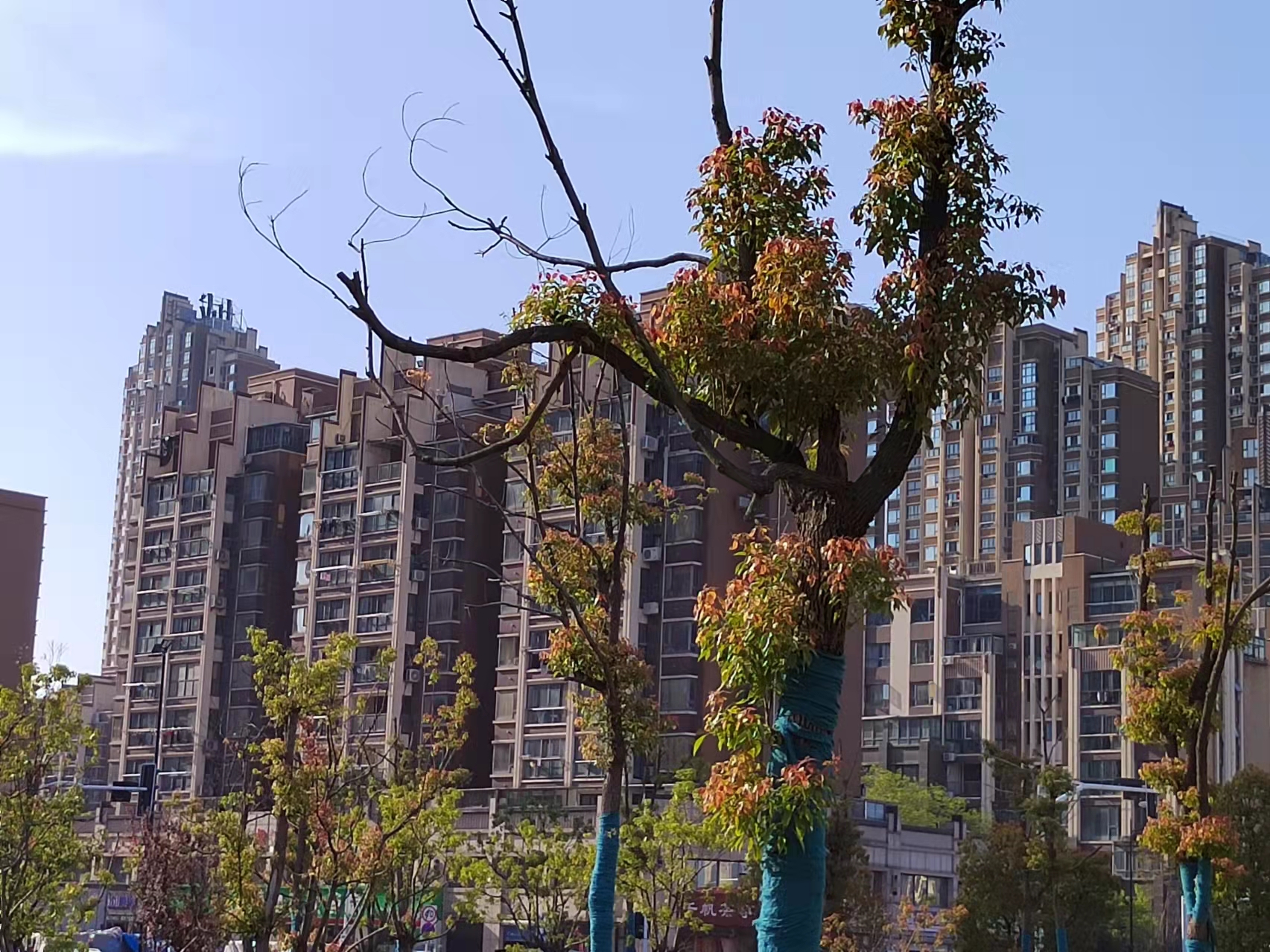 微信图片_20220405174728.jpg