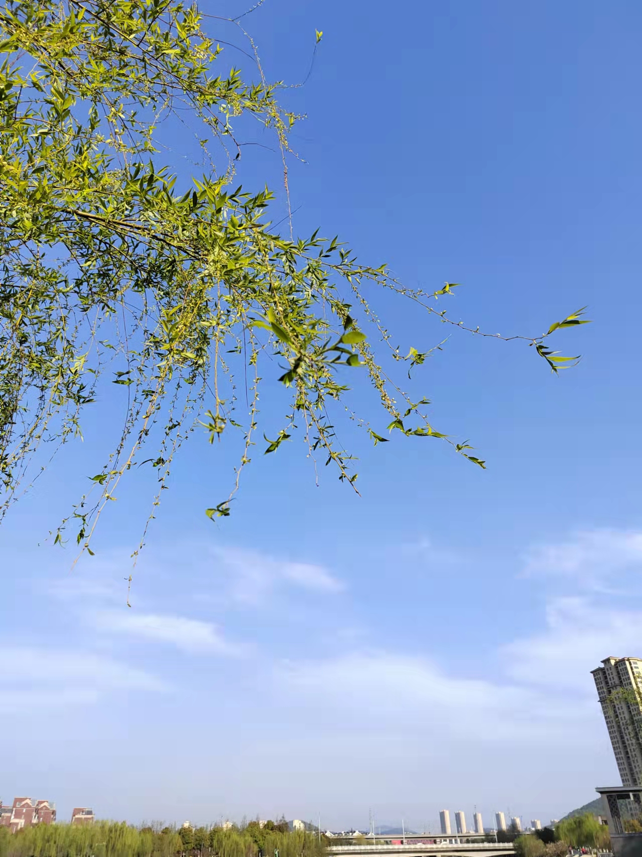 2022年清明节拍摄于马鞍山慈湖河