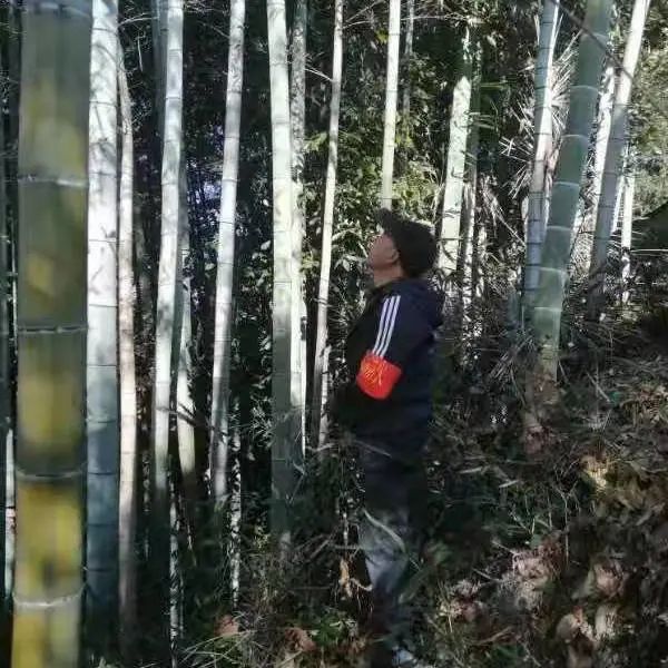 微信图片_20220407133618.jpg