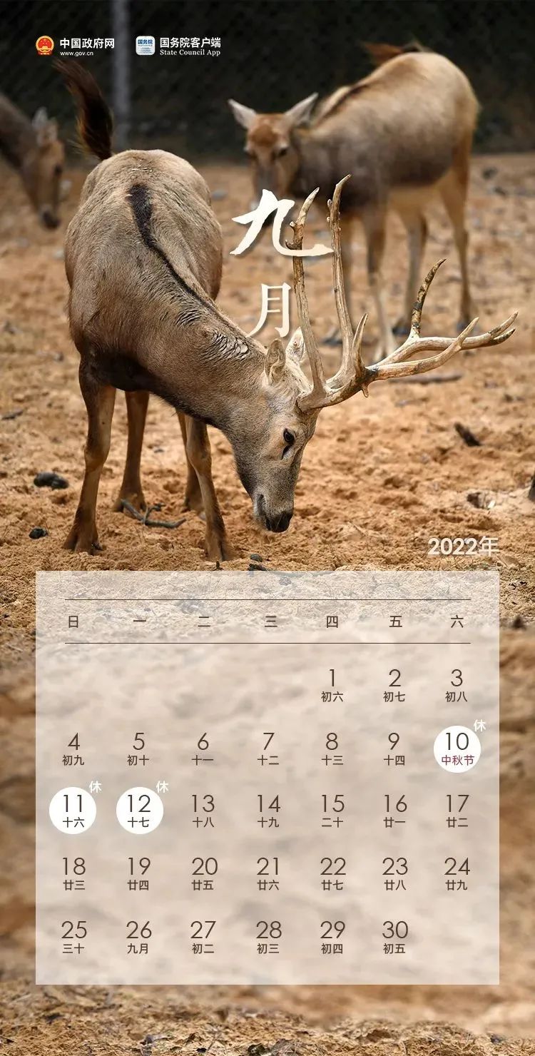 微信图片_20220409135428.jpg