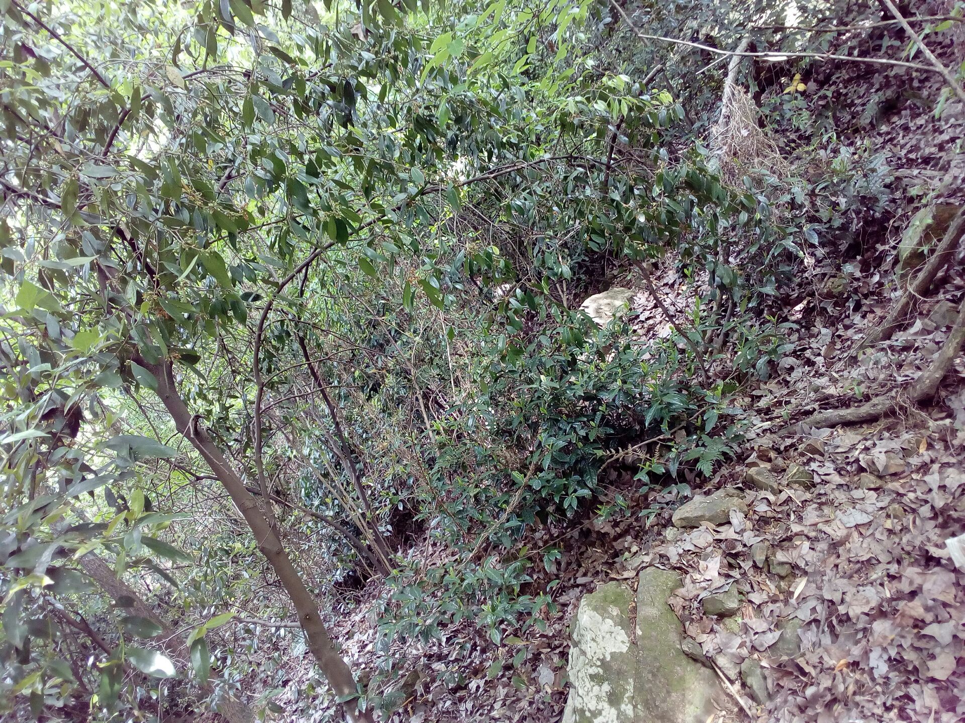 20220410132246front2_0_367705_FiKbFlOhOb5sieNycgaZZqG3E7wW.jpg