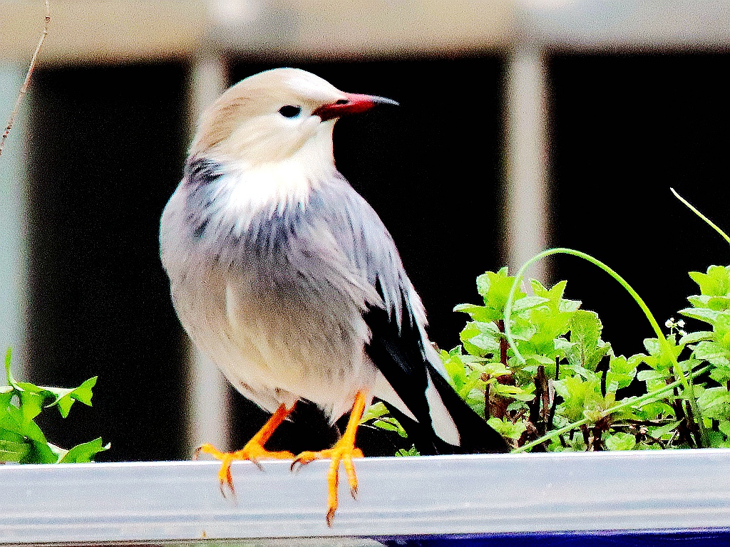 IMG_0067_副本.jpg