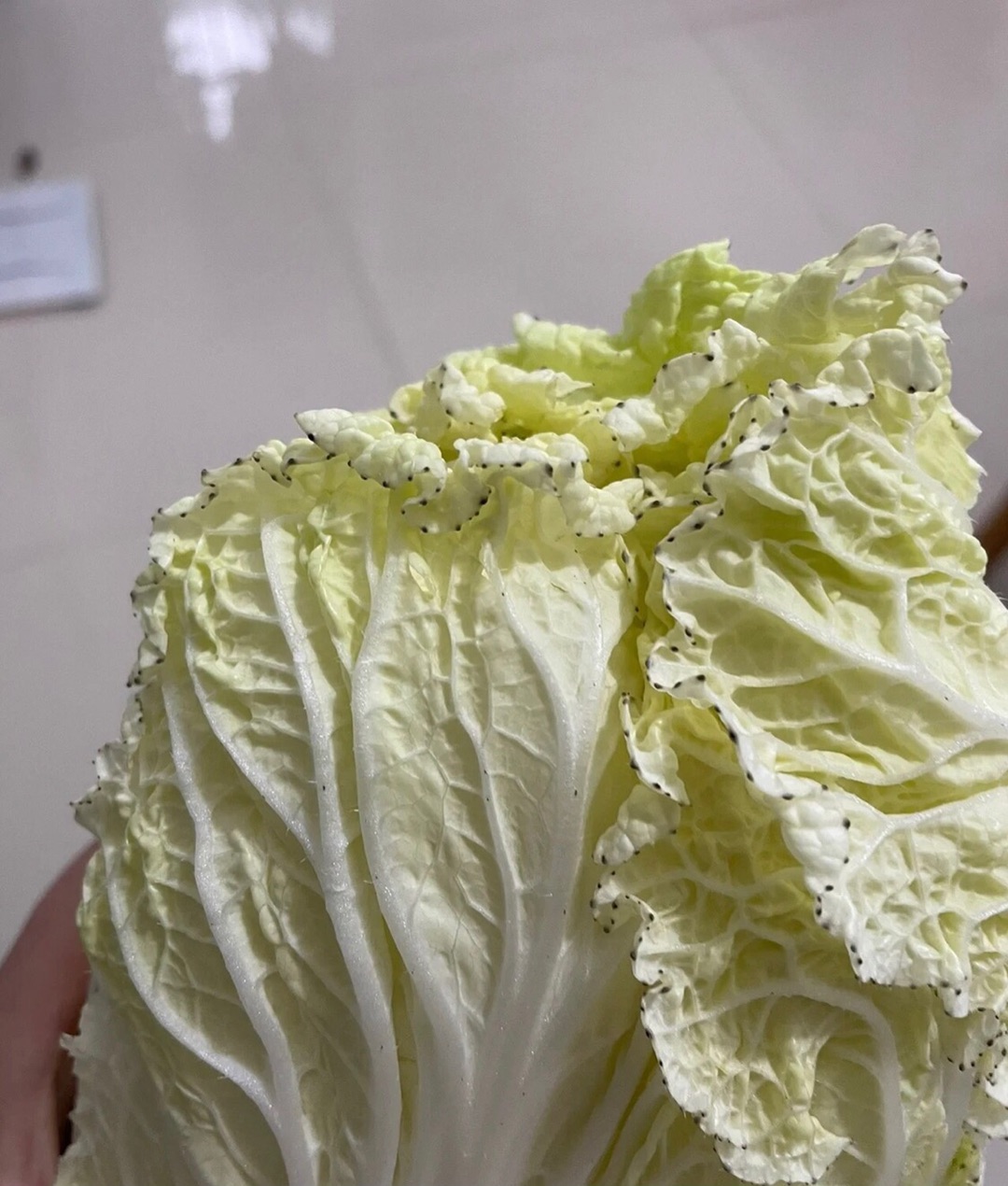 20220424104530front1_0_340321_FqRuFg9ddSvcjYOhUxYZP-uN5wkF.jpg
