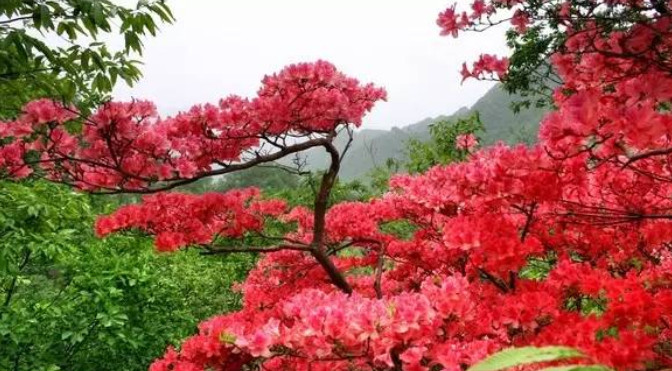 齐山随拍1.jpg