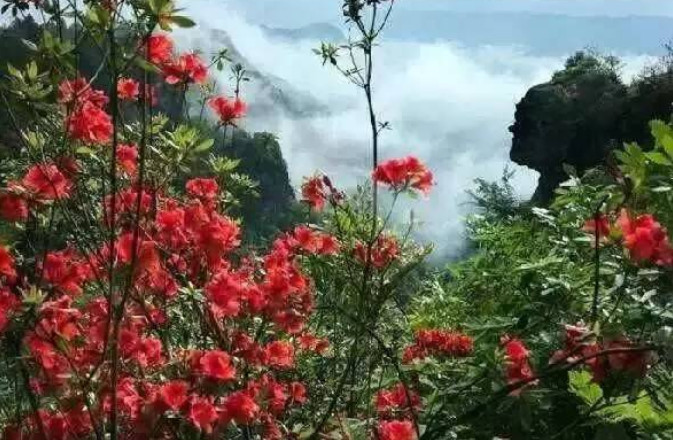 齐山随拍2.jpg