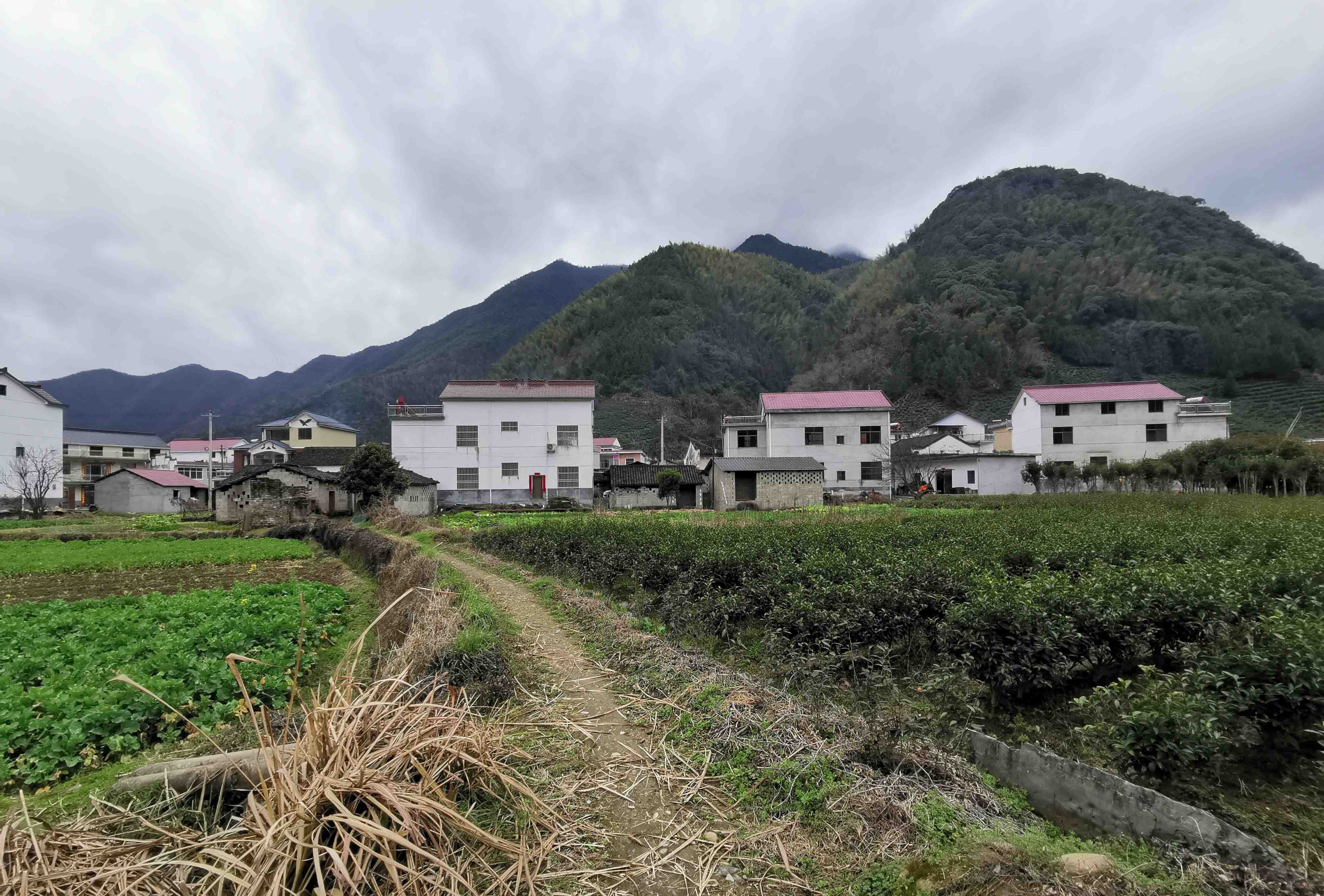 来龙山后山