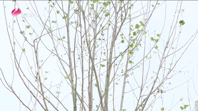 20220502152133front1_0_348934_FrBh8WTxEF0RZis6eRbpiL16x9Wz.gif