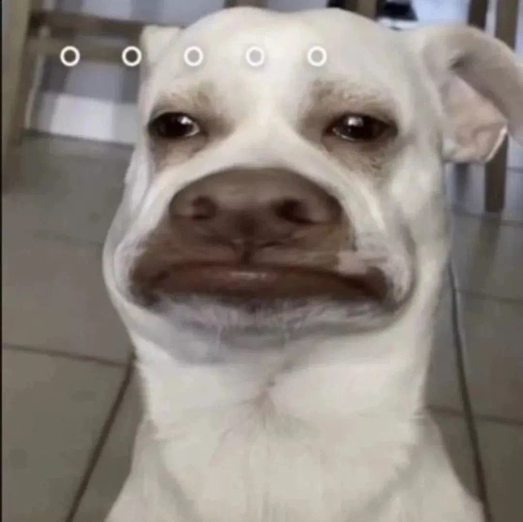 20220502165304front1_0_361021_FtJUZZINLkgLaHwJyEIZzpYDpbmU.jpg