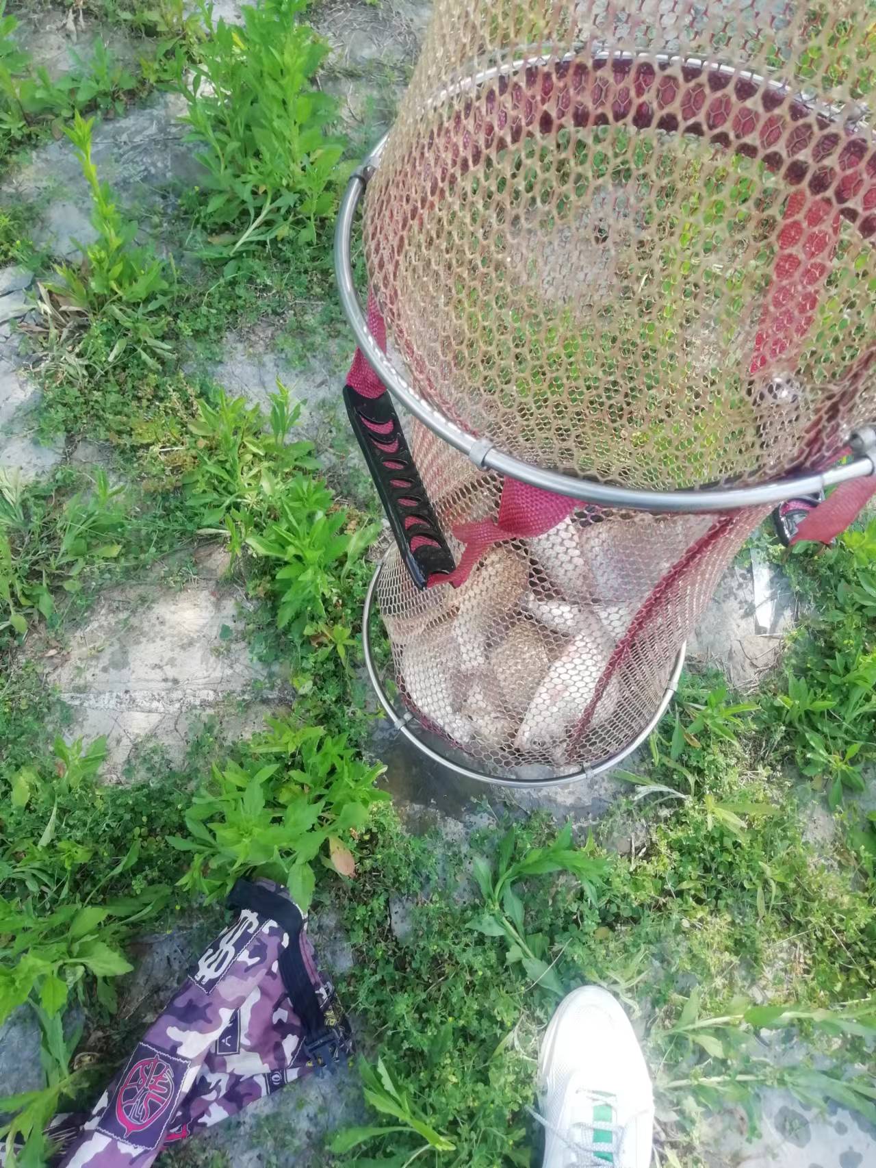 20220503154857front1_0_60454_FhmLFRwLlCWRz5U5Cfof-Mejnkh_.jpg