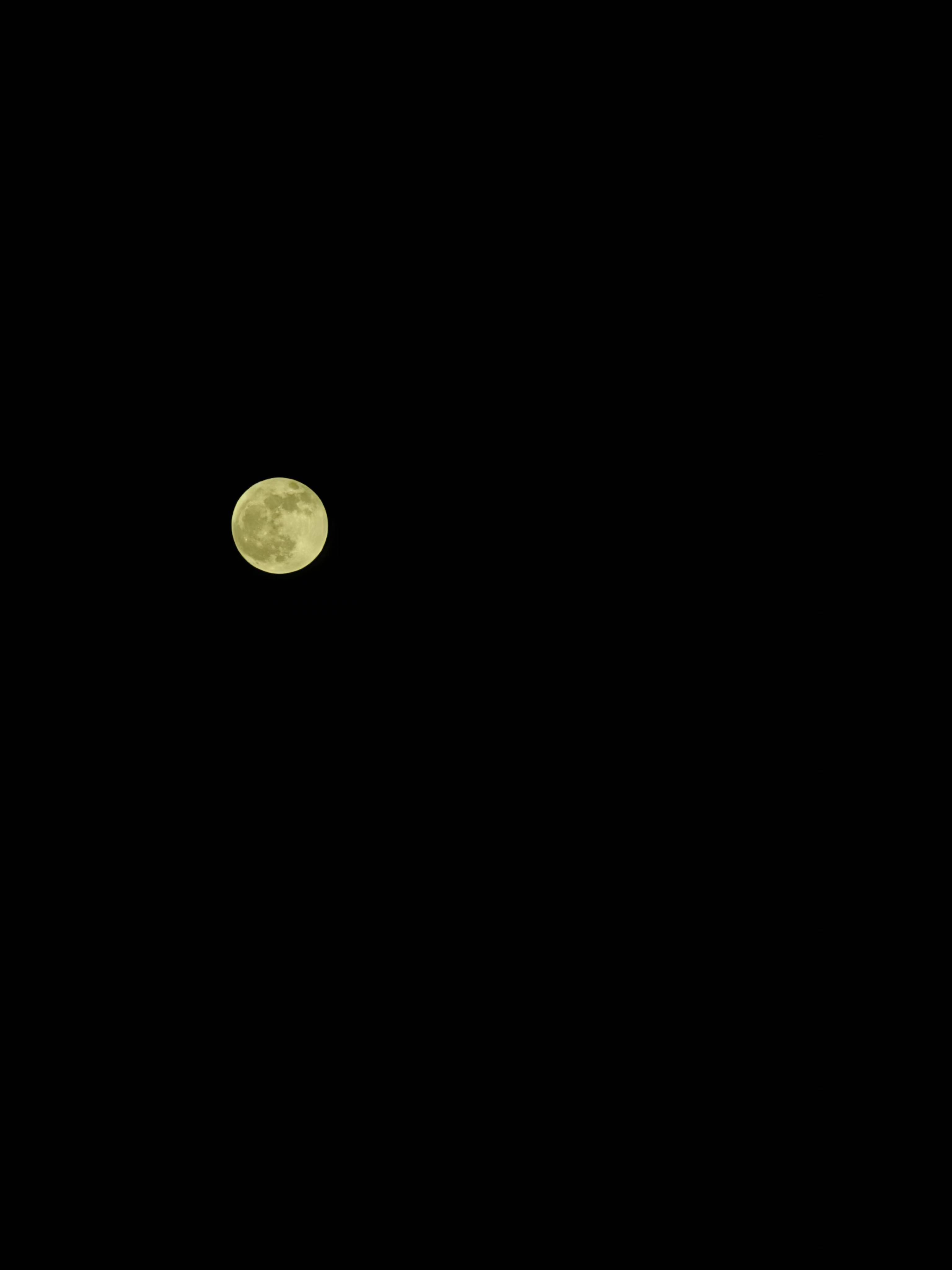 昨日夜空明月悬，幽幽树影暗婆娑