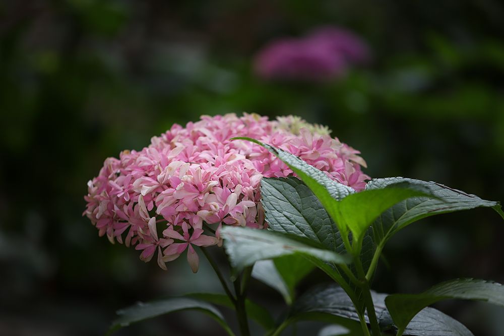 20220531205153front2_0_97145_FjuTMWHqm3T3C9J7kFLWyb4LanG3.jpg