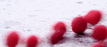 44.gif