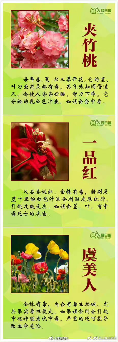 20220615082026front2_0_367783_Fqrwtjyc1dmO2qrqctymQpZ_D2x2.jpg