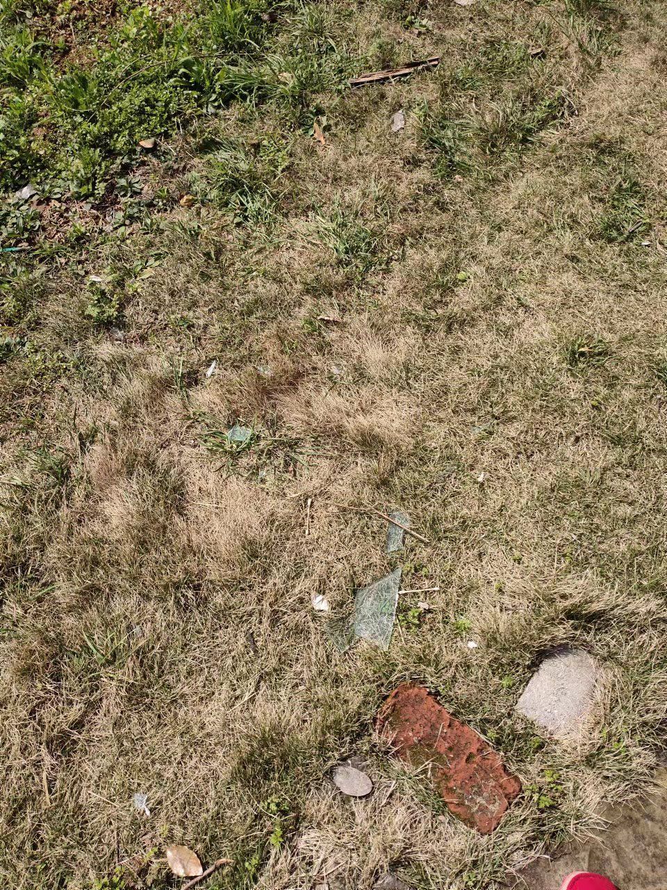 20220618121404front2_0_348192_FhZrRwbR-warf7xkGFaQUwR1IqZb.jpg