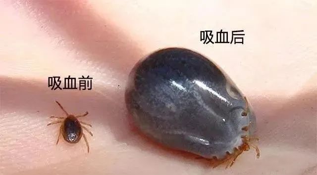 微信图片_20220622095625.jpg