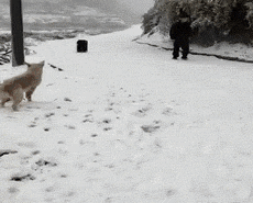 20220701183248front1_0_370121_Fn9Kv1udJImBJ8aW5WPRdnyqTFHK.gif
