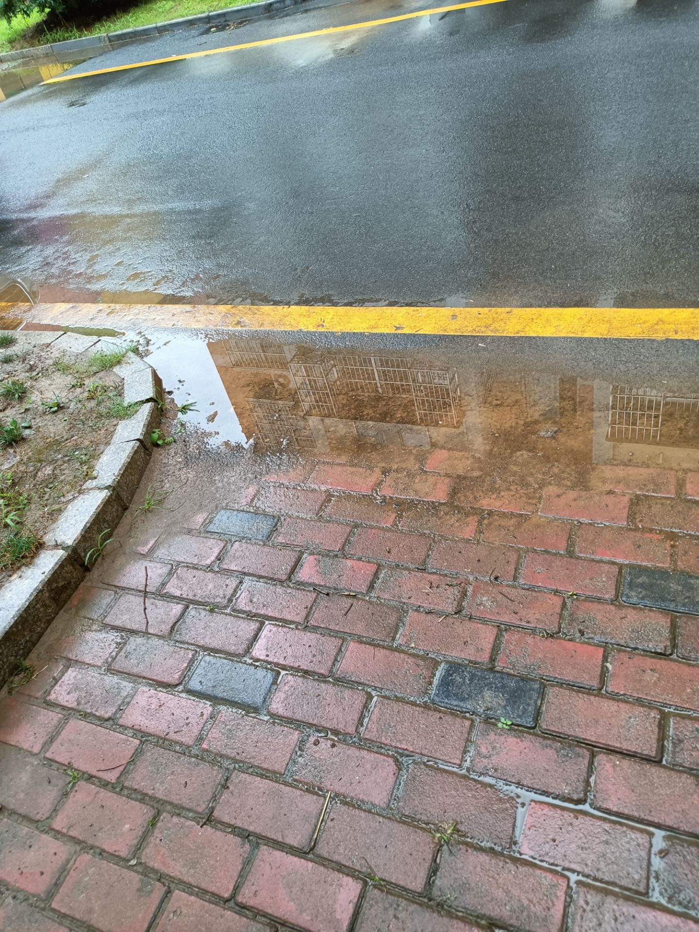 20220703184735front2_0_255502_FrJzPFHFAZy2dV6xlj7z1BjN13B2.jpg