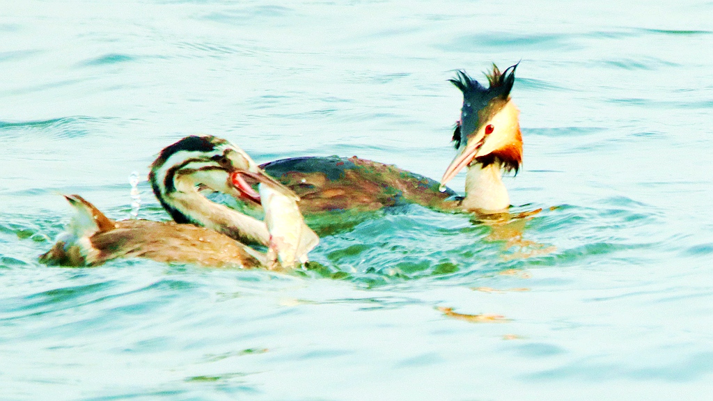 IMG_8446_副本.jpg