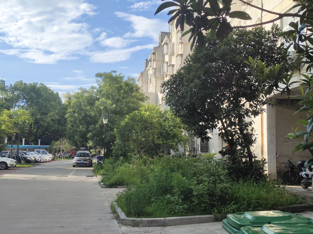 20220708071032front2_0_292421_FtI6Vybo4d4FfoWunsRMIQk0w6go.jpg