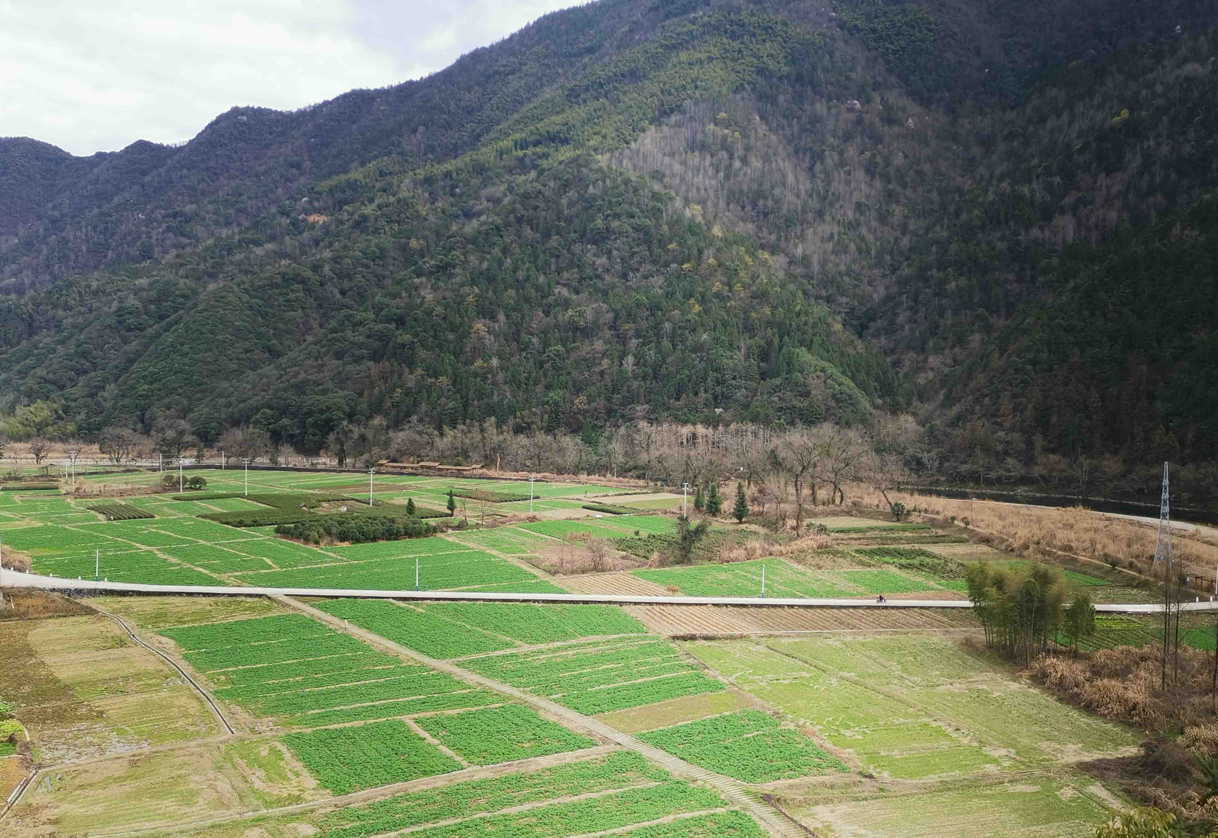 村牧塘大畈