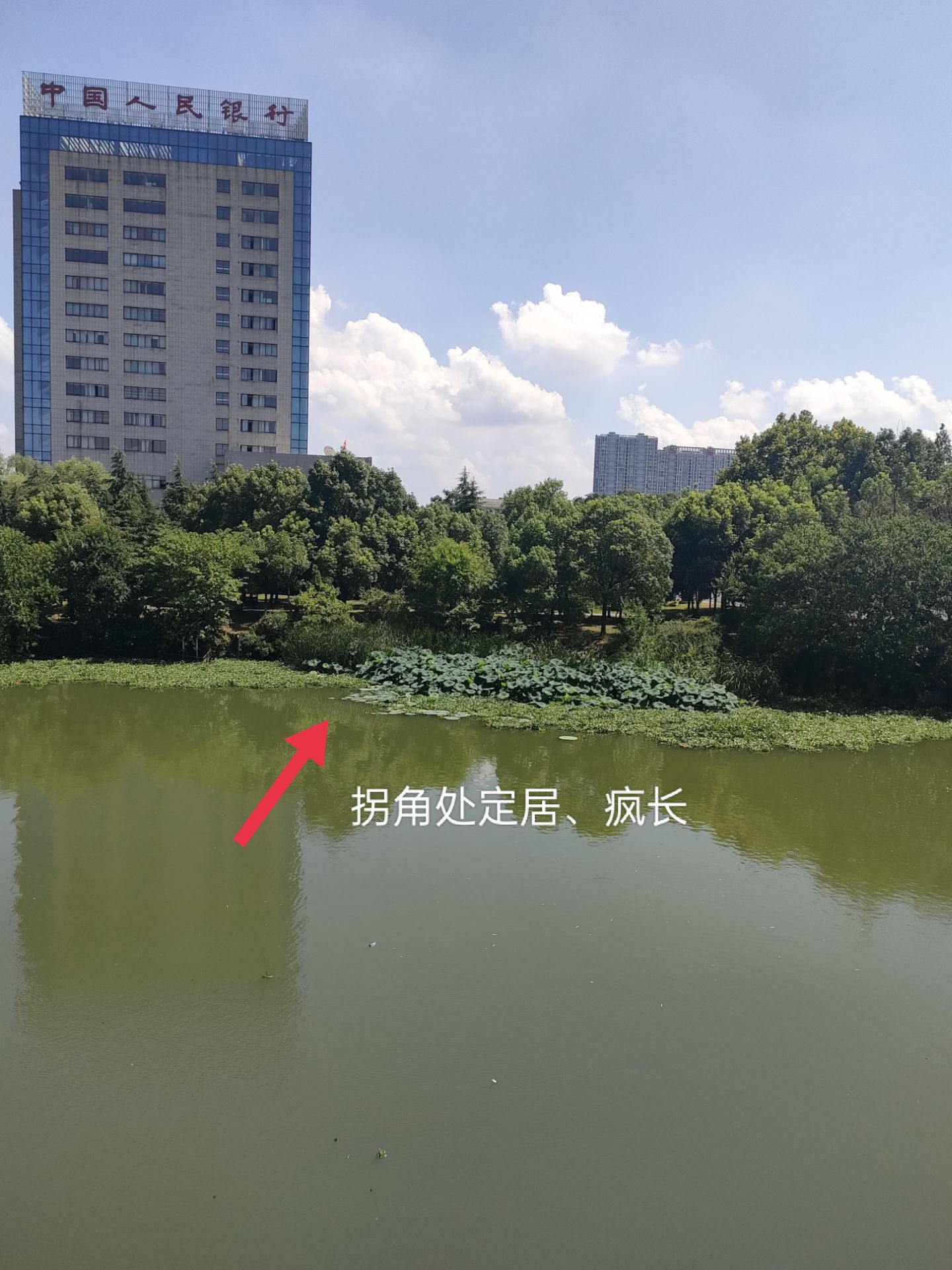 20220722142359front2_0_56354_FoZqHtr6dQn7AEFyyDist3UCokmn.jpg