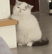 20220723175548front2_0_359781_Foo1mcxjxmgzEIy_uUmV5awL5nuC.gif