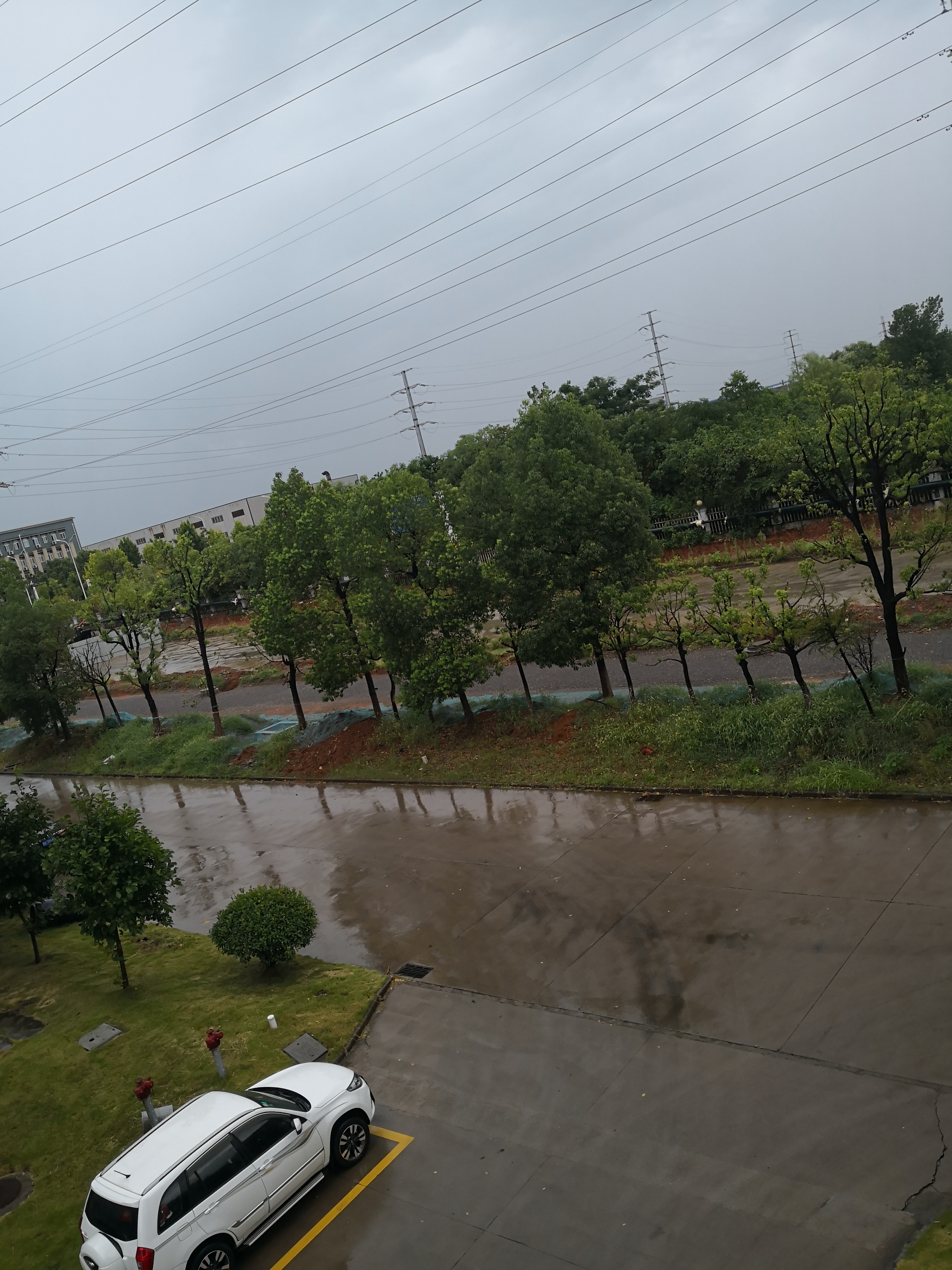 IMG_20220726_112420.jpg