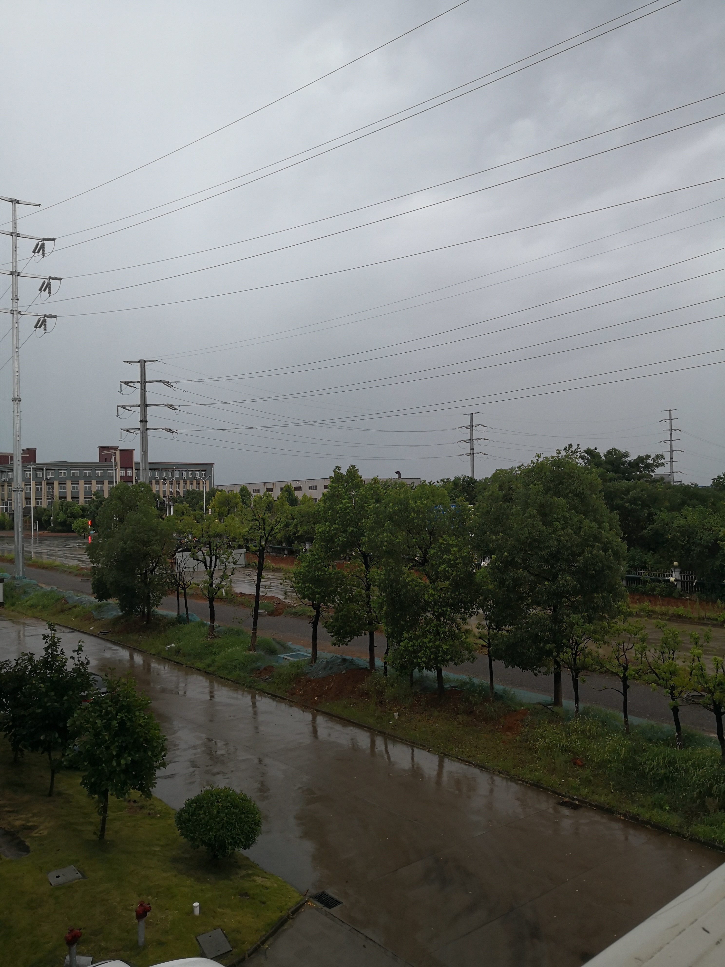 IMG_20220726_112530.jpg